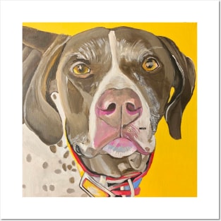 German Shorthaired Pointer Posters and Art